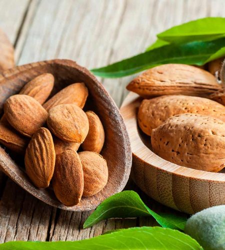 Conócenos almendra slide2